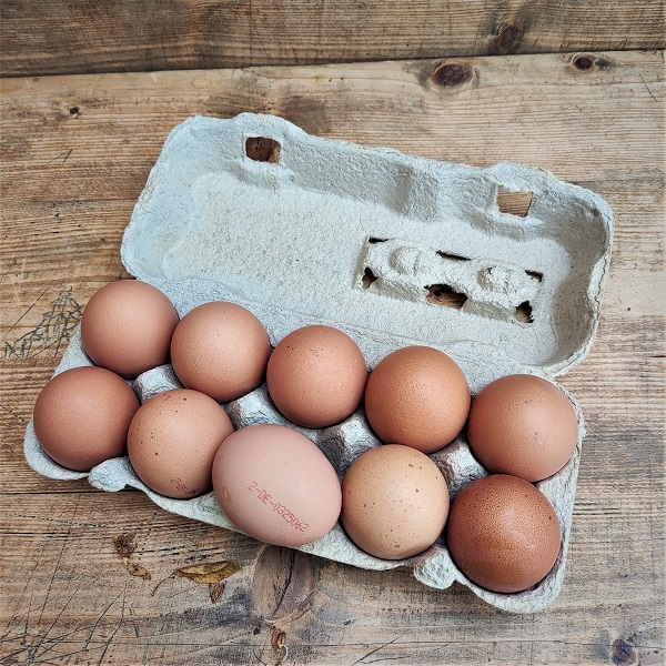 10 Eier, Größe XL, Bodenhaltung