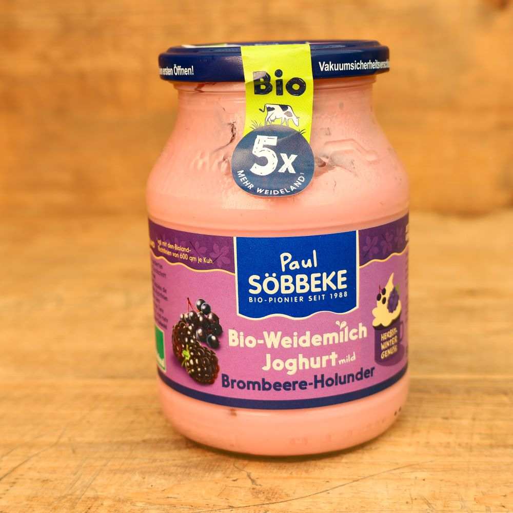 Joghurt Brombeere-Holunder (bio)