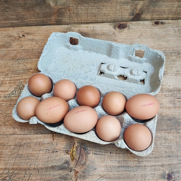 10 Eier, Größe L, Bodenhaltung