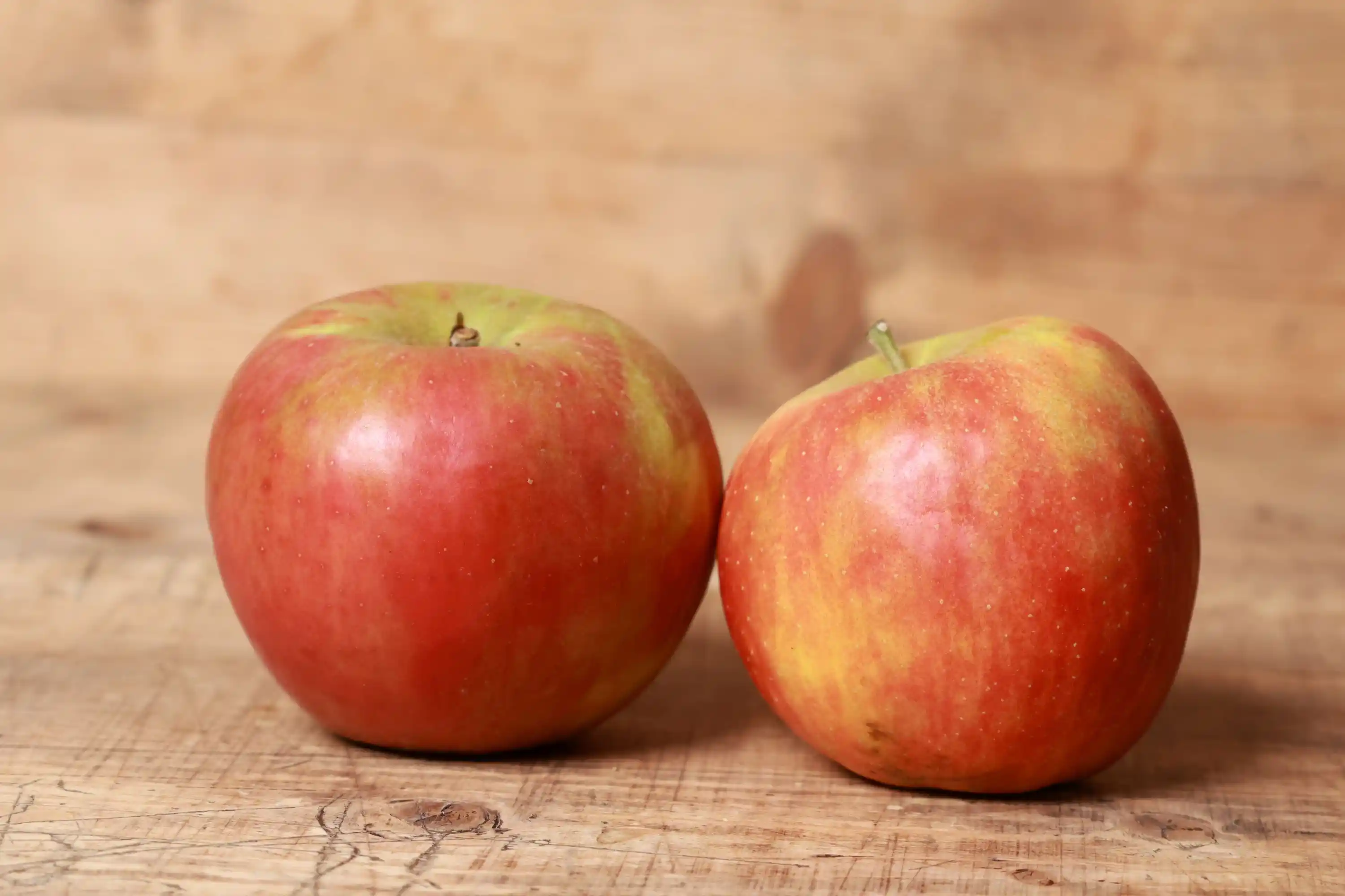 Apfel "Holsteiner-Cox"