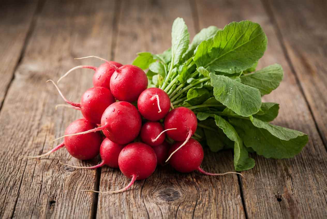 Radieschen